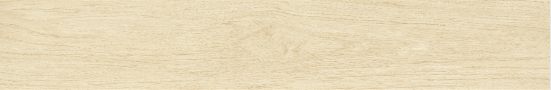 Betula 20x120
