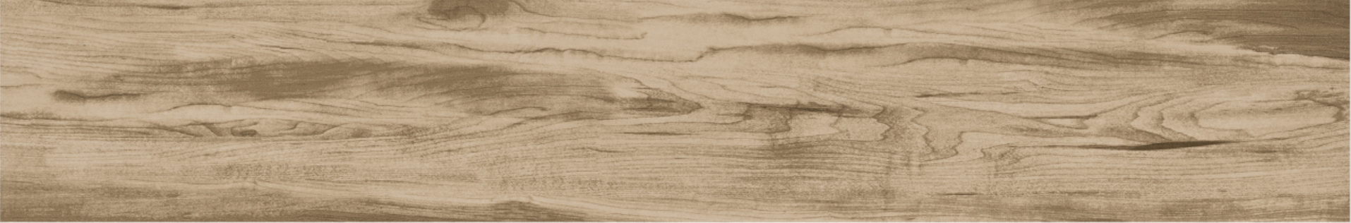 ELM 20x120
