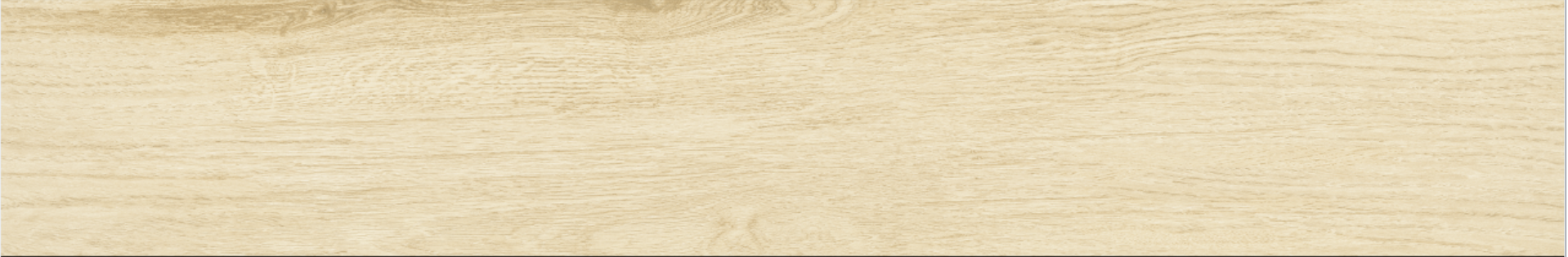 Betula 20x120