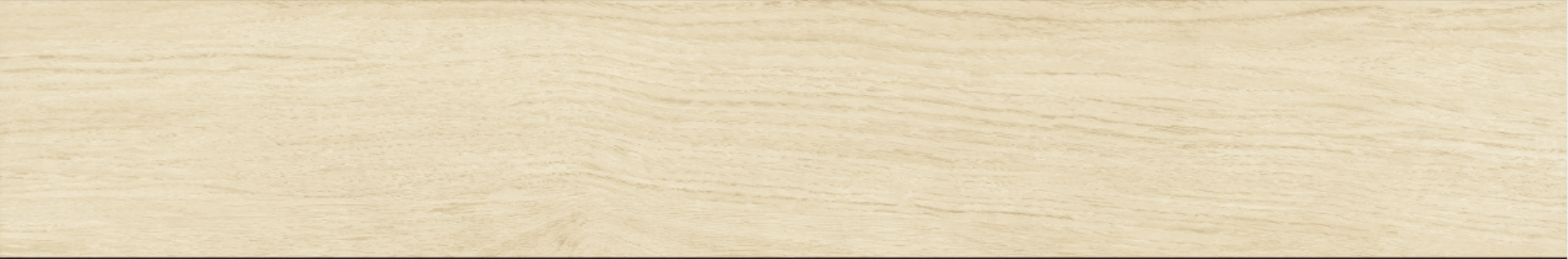Betula 20x120