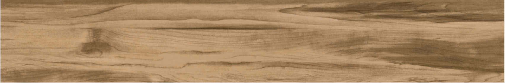 Cypress 20x120