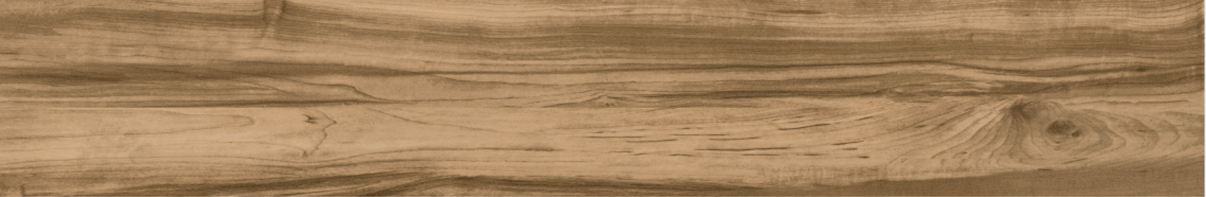 Cypress 20x120