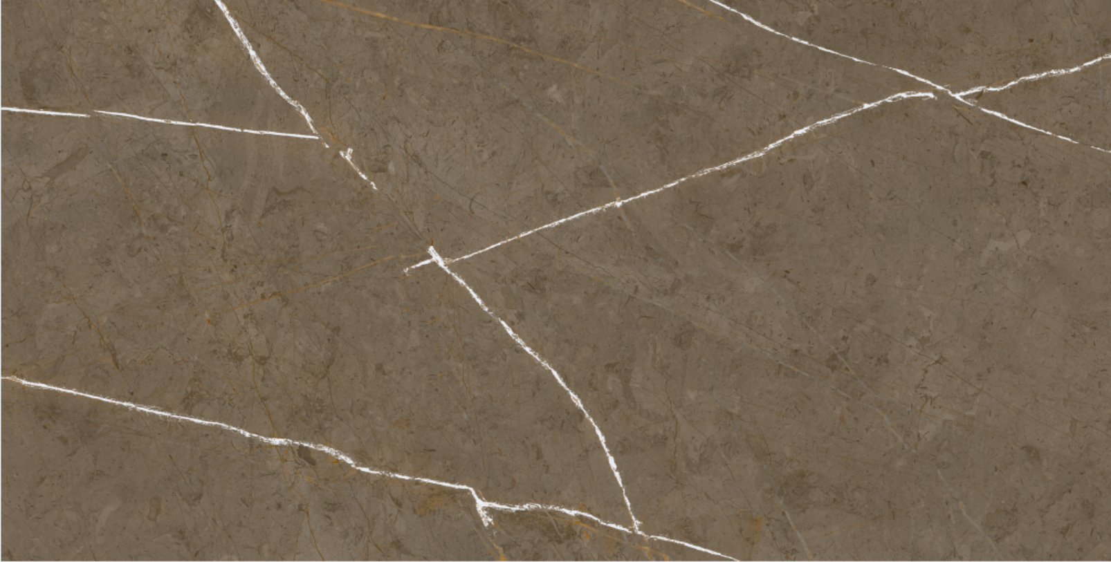 Stone Brown 60x120
