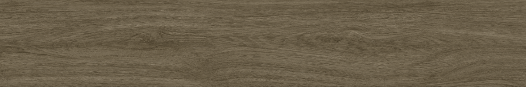 OAK 20x120