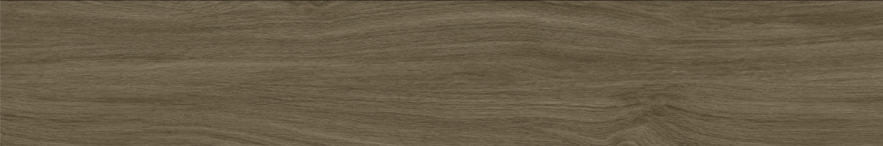 OAK 20x120