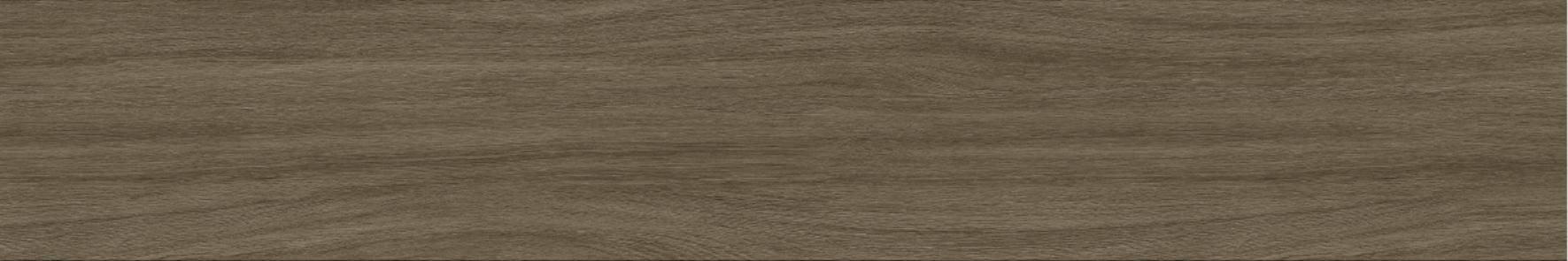 OAK 20x120