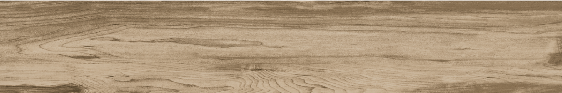 ELM 20x120