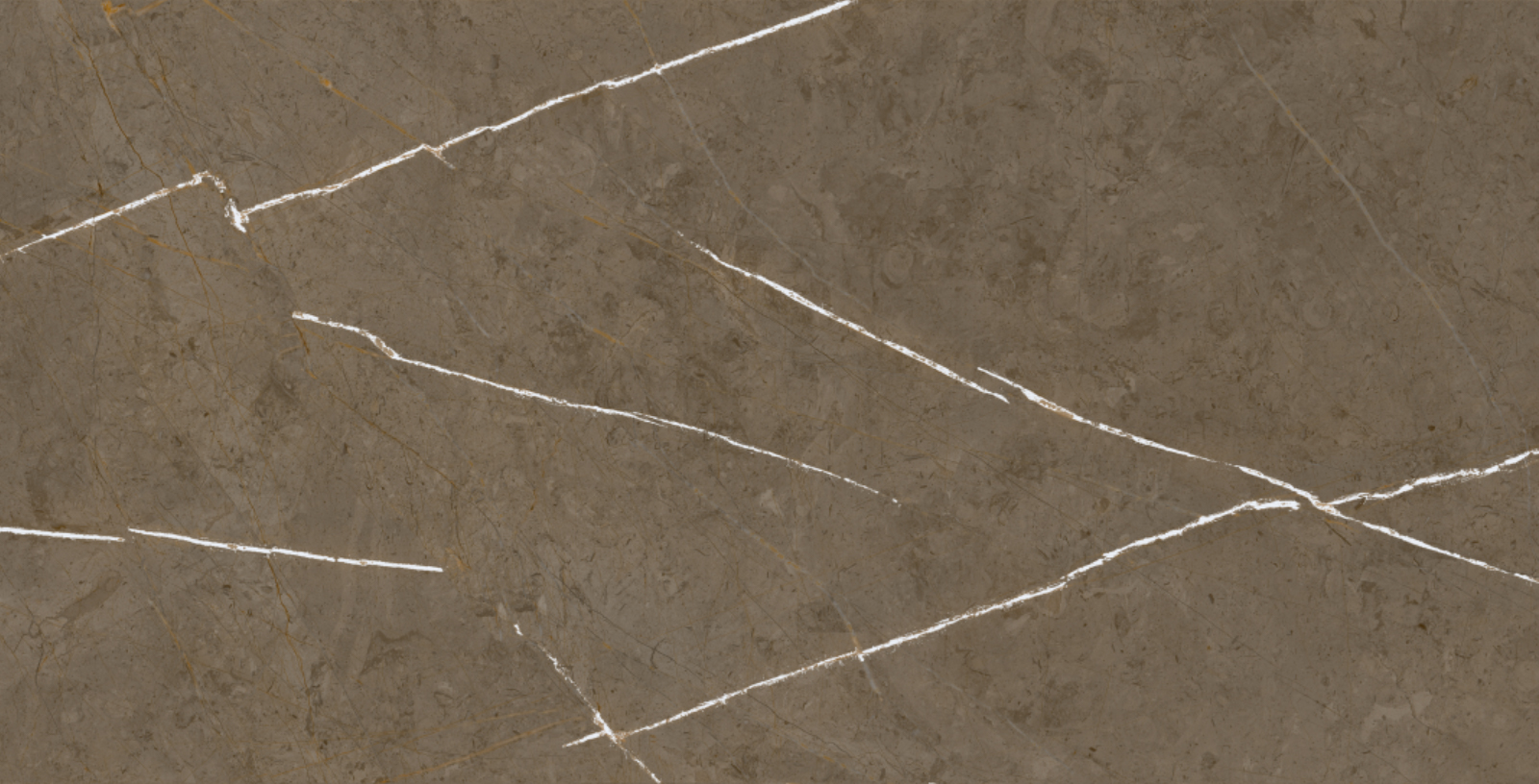 Stone Brown 60x120