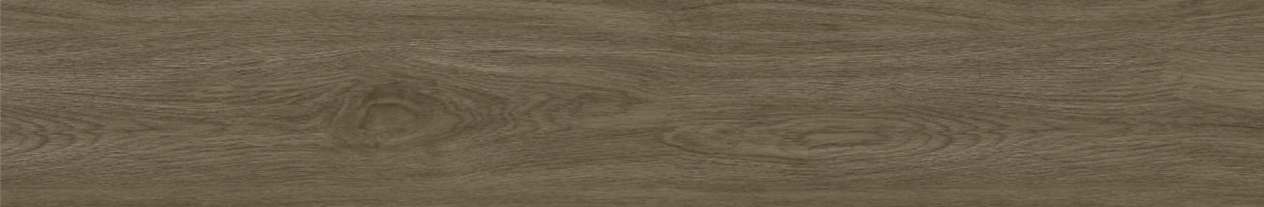 OAK 20x120