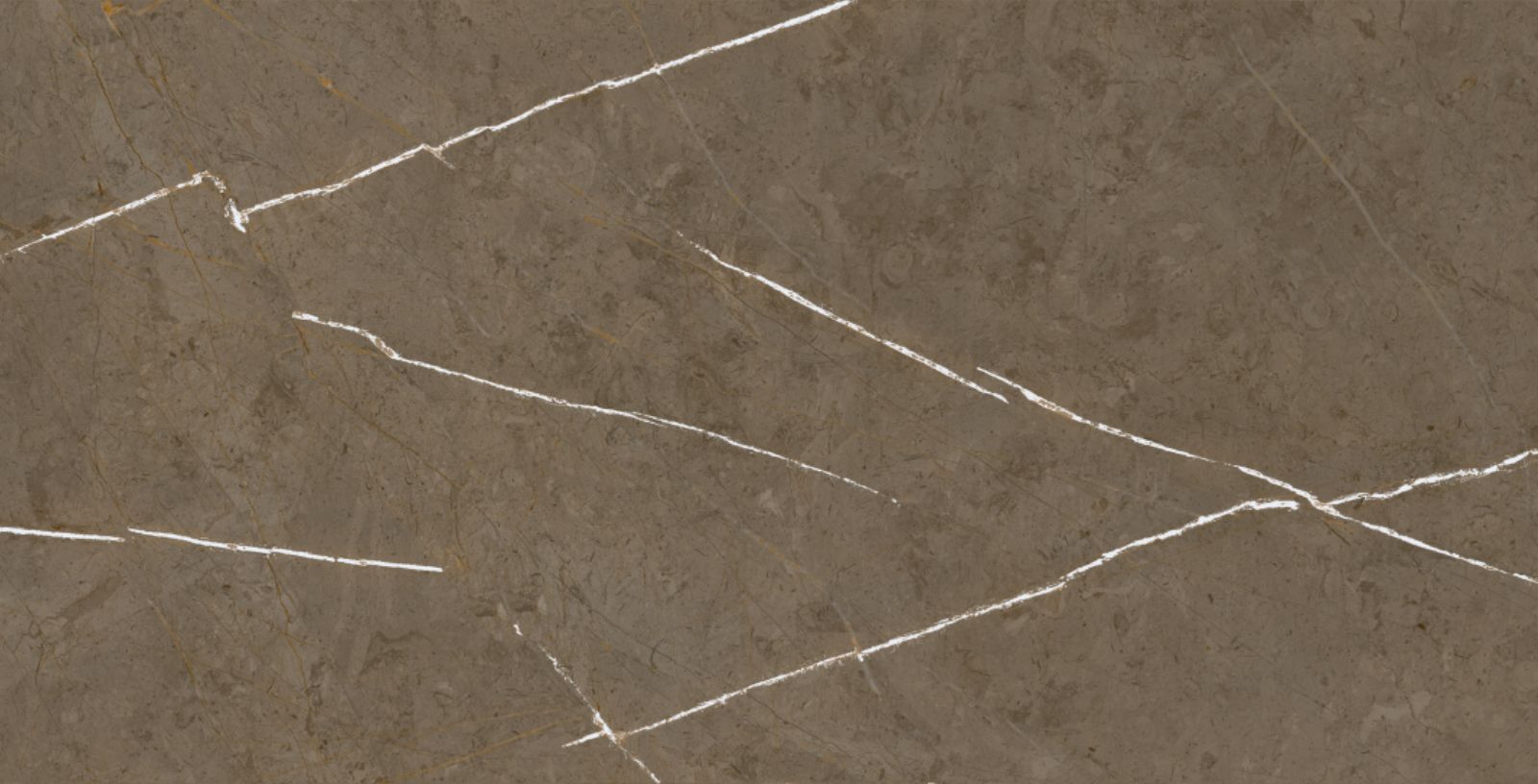 Stone Brown 60x120