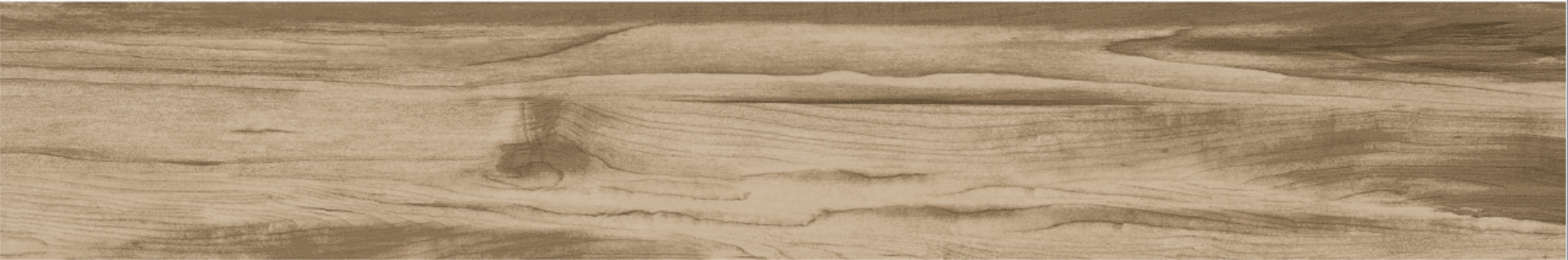 ELM 20x120