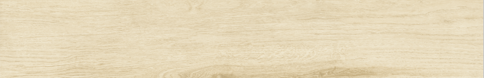 Betula 20x120