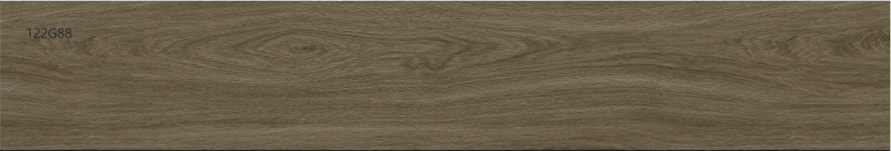 OAK 20x120