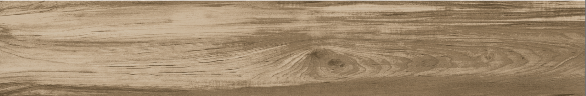 ELM 20x120