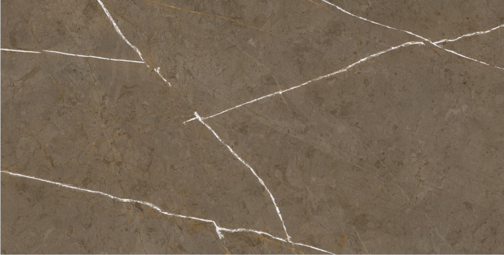Stone Brown 60x120