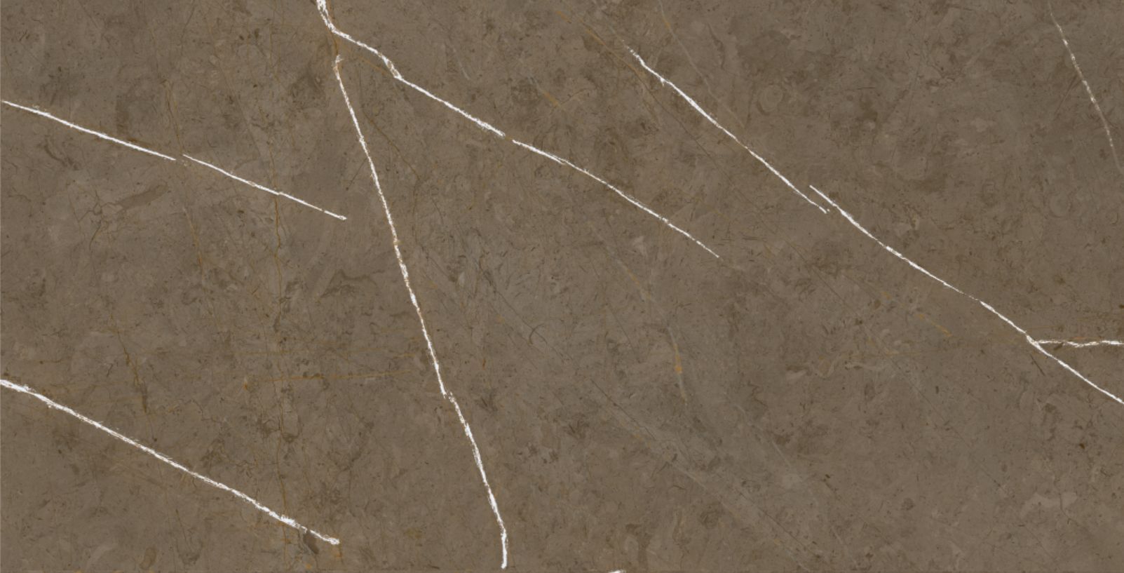 Stone Brown 60x120