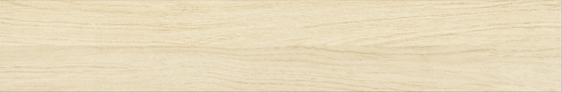 Betula 20x120