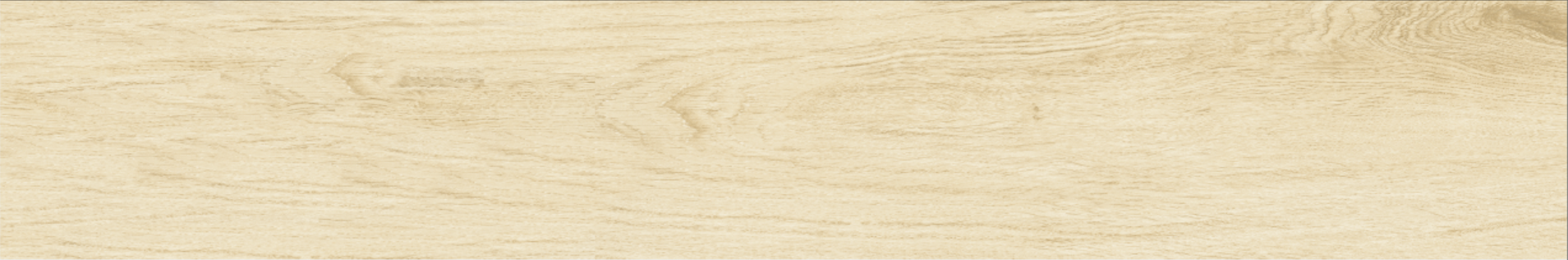 Betula 20x120