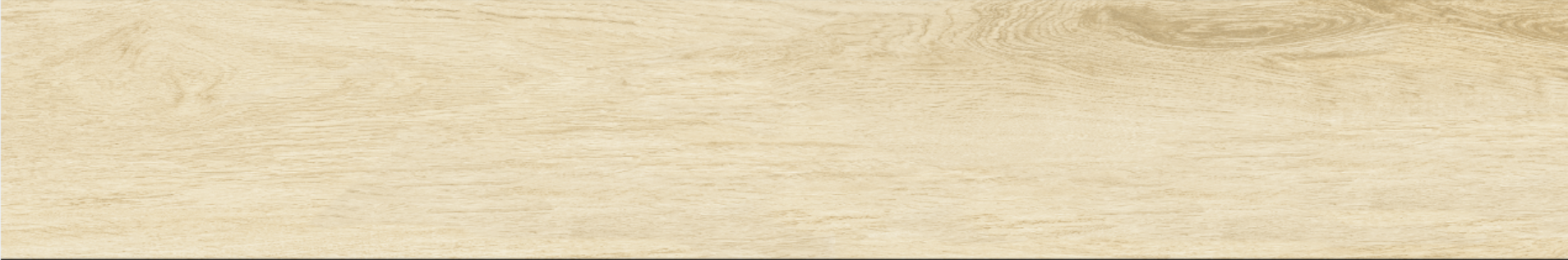 Betula 20x120