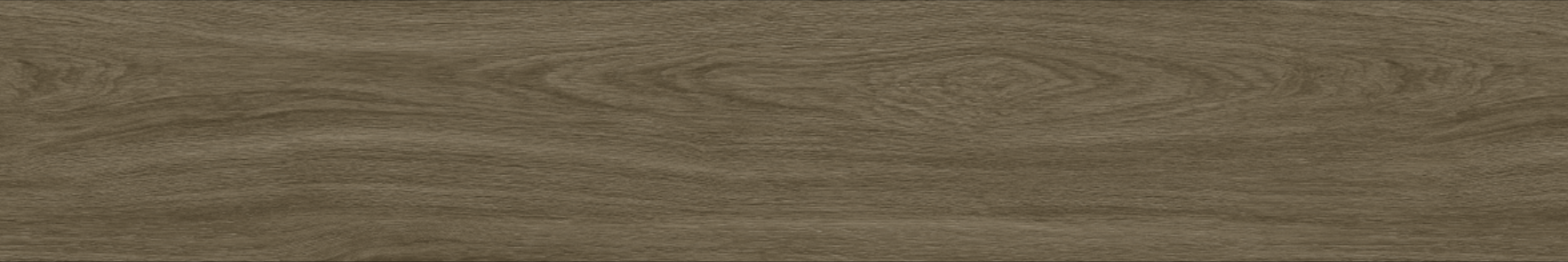 OAK 20x120