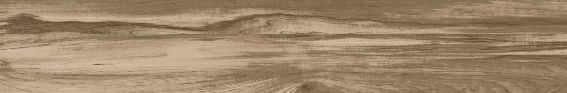 ELM 20x120