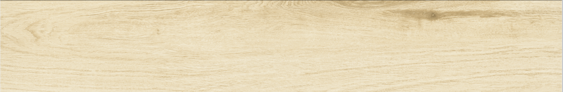 Betula 20x120