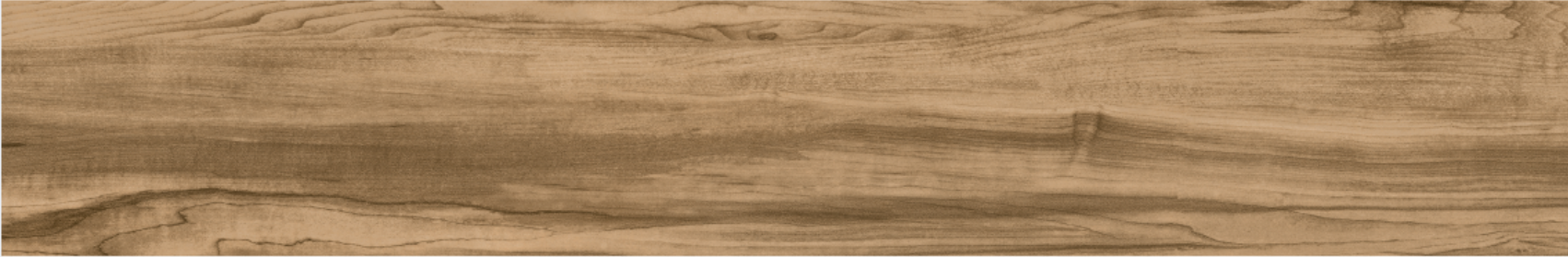 Cypress 20x120