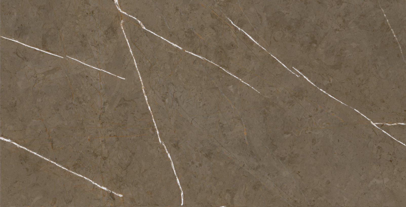 Stone Brown 60x120