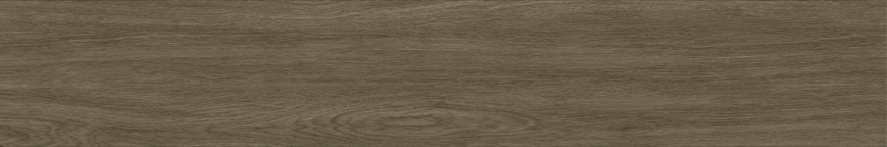 OAK 20x120