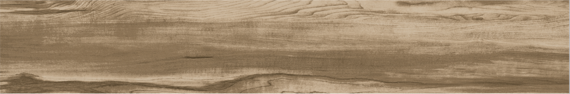 ELM 20x120
