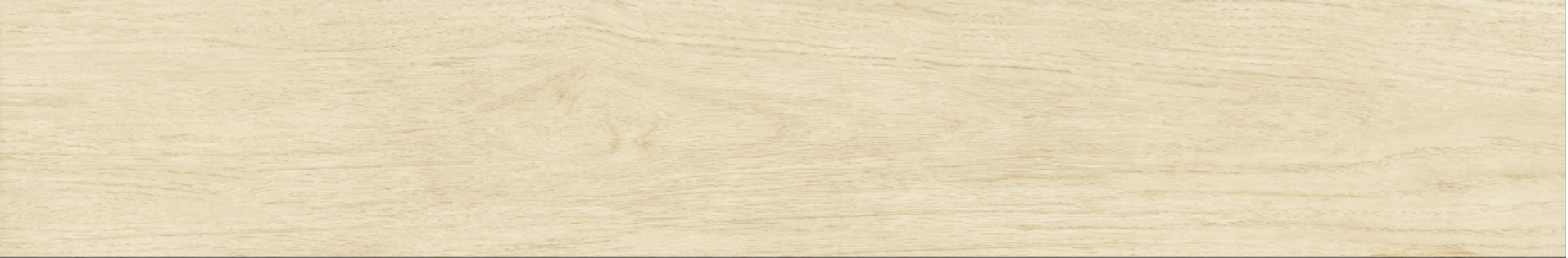 Betula 20x120