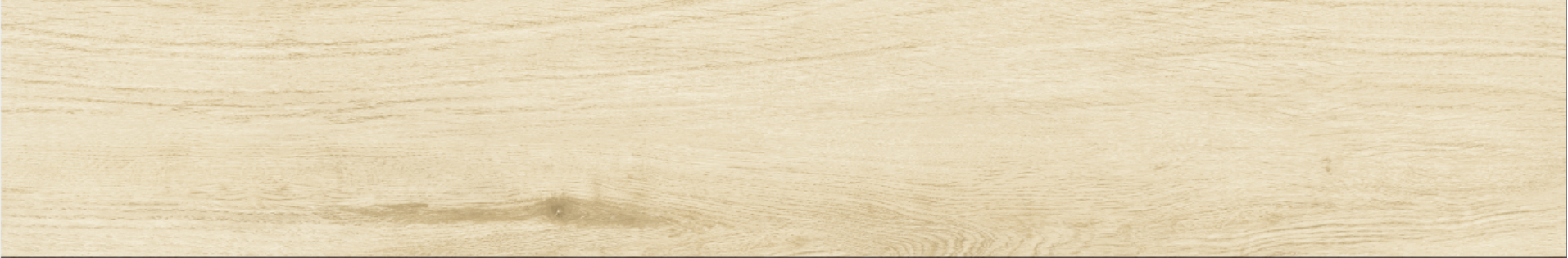 Betula 20x120