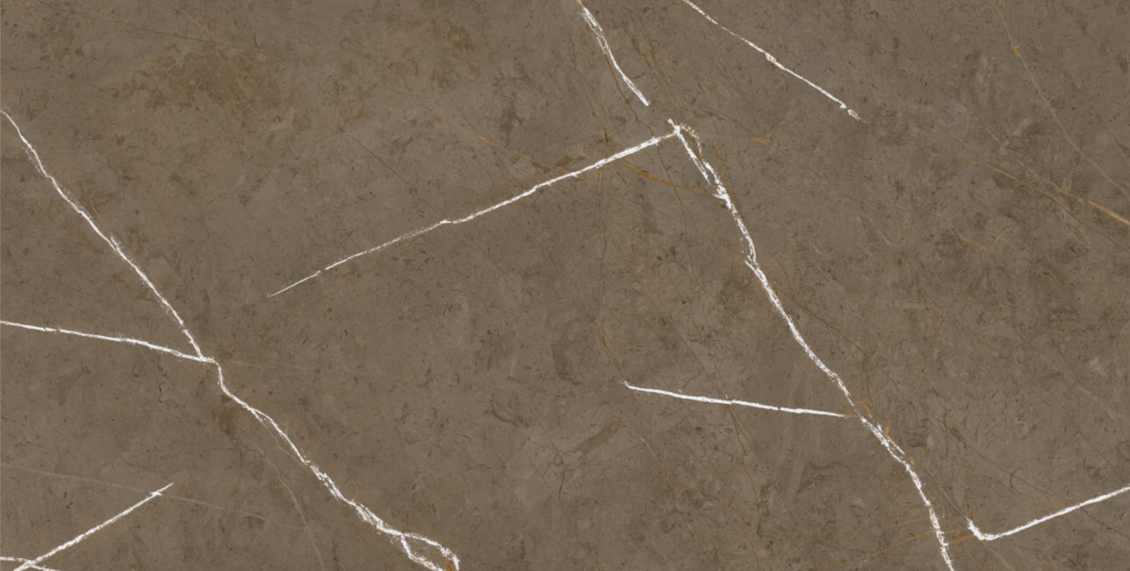 Stone Brown 60x120