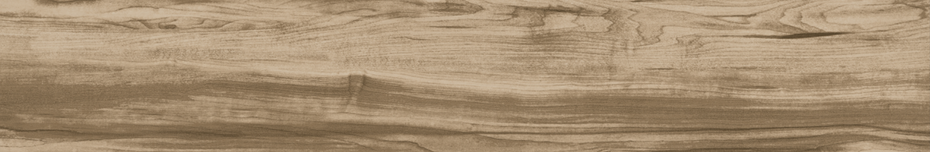 ELM 20x120