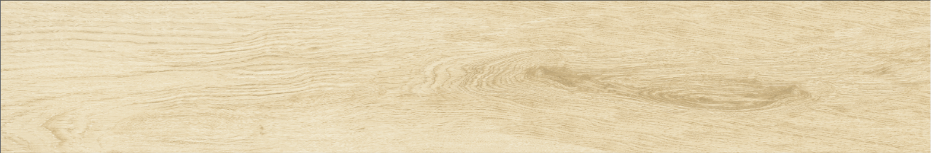 Betula 20x120