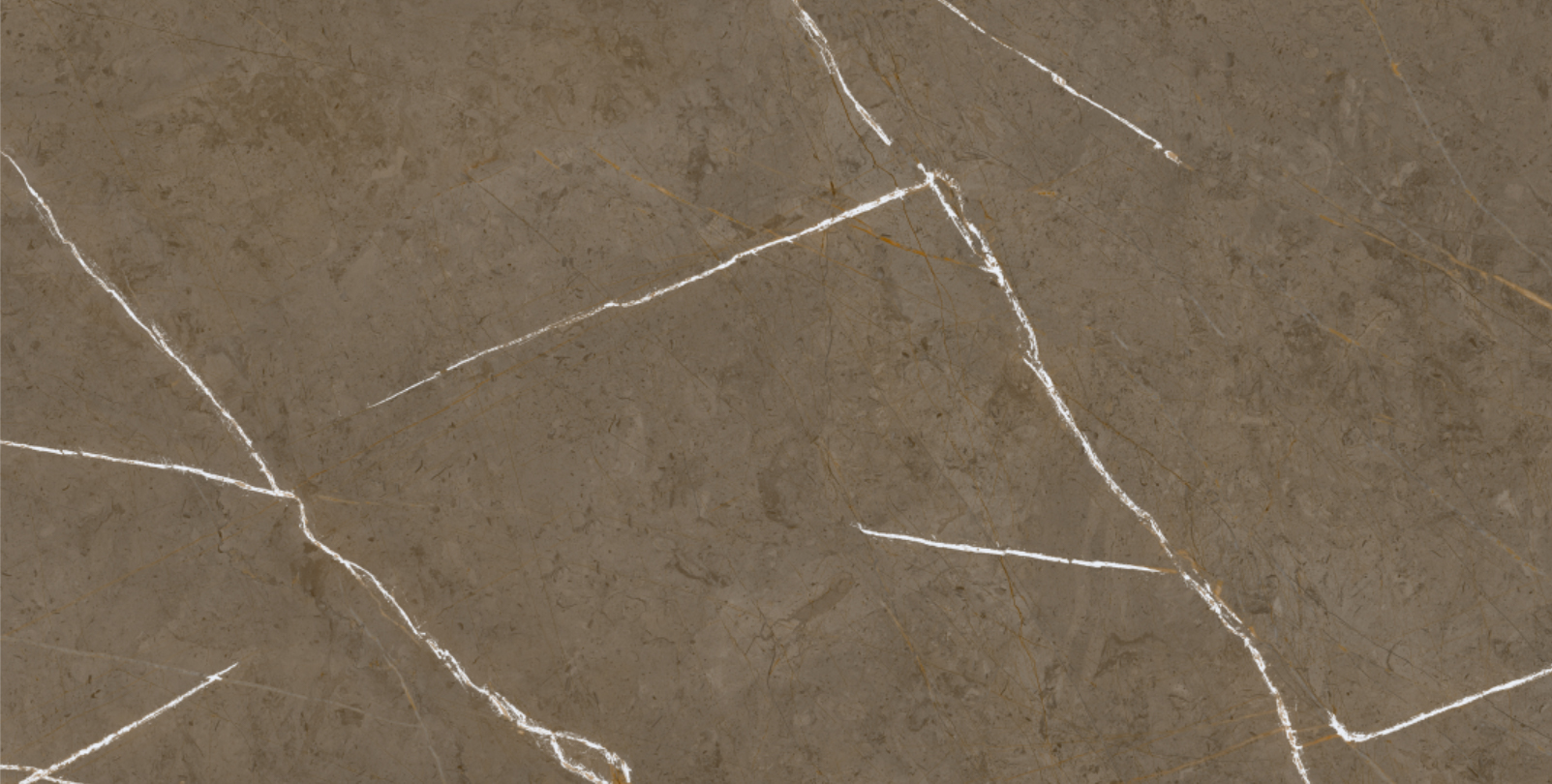 Stone Brown 60x120