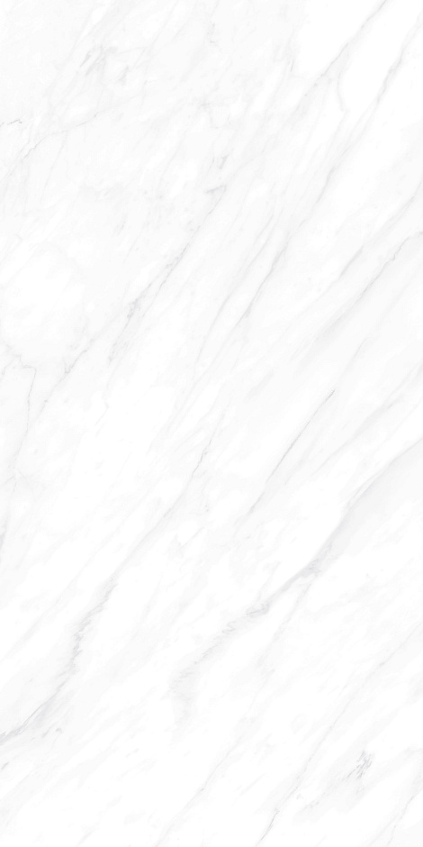 Carrara Matt 60x120