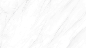 Carrara Matt 60x120