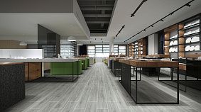 Frassino Grey 20x120