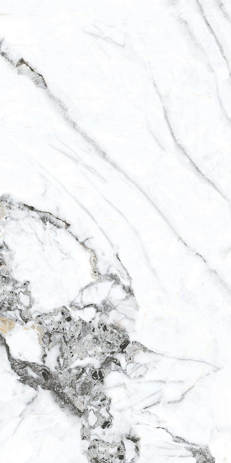 Bianco Gold 60x120