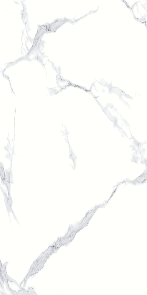 Calacatta White 60x120