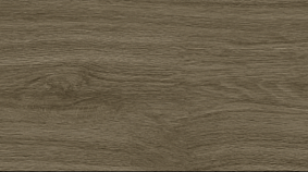 OAK 20x120