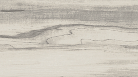 Poplar 20x120