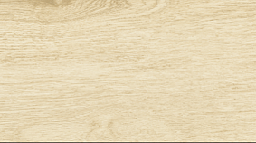 Betula 20x120