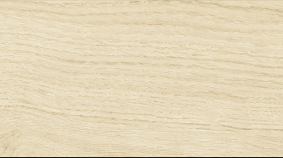 Betula 20x120