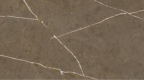 Stone Brown 60x120