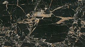 Tiger Black 60x60