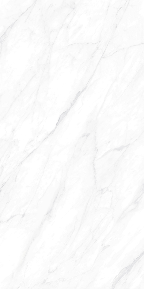 Carrara Matt 60x120