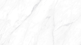Carrara Matt 60x120