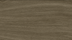 OAK 20x120